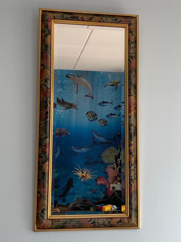 Spiegel speciaal, Huis en Inrichting, Ophalen, Minder dan 50 cm, Gebruikt, Minder dan 100 cm