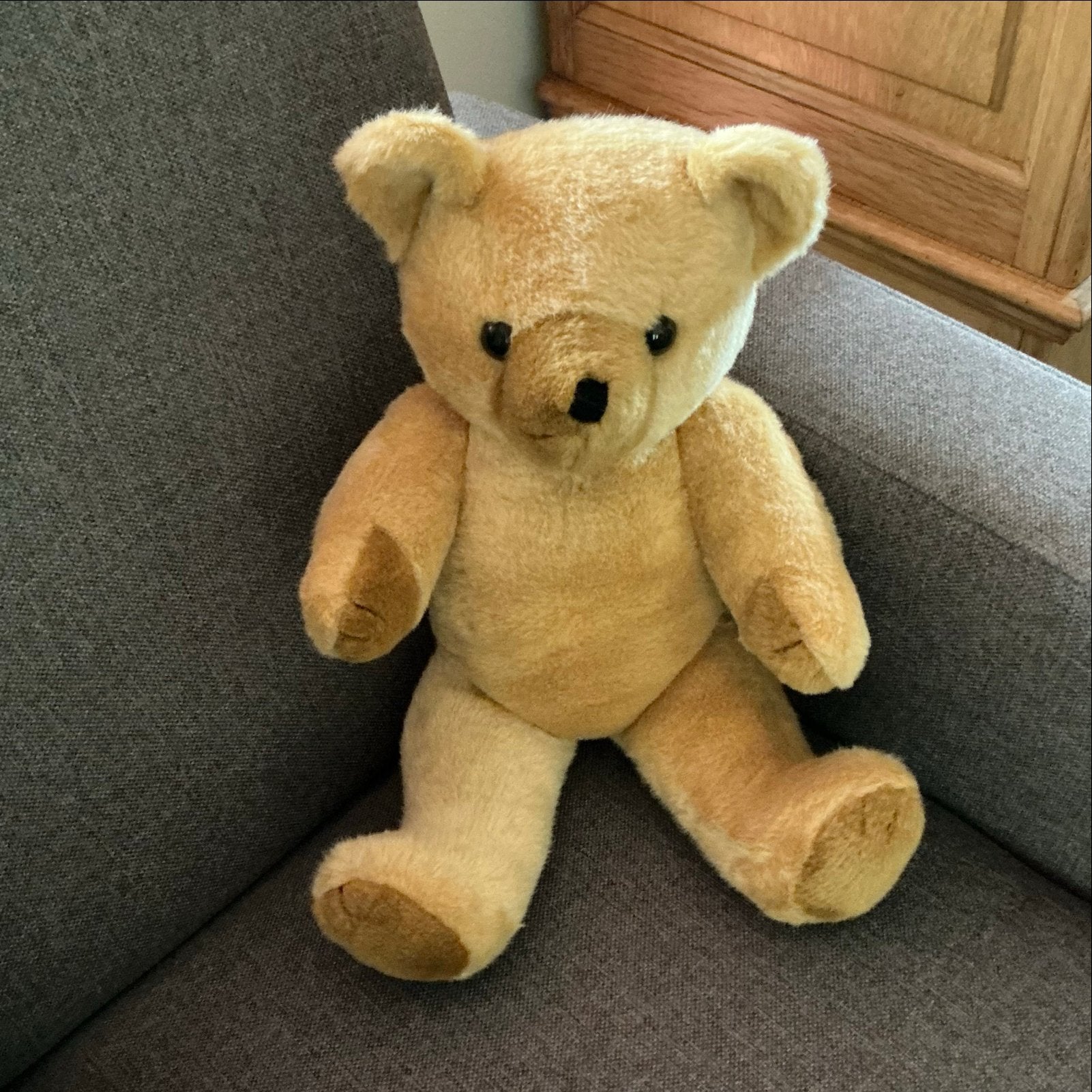 Freddy Teddy Beer - Zo goed als nieuw, Overige merken, Overige karakters, Beer, Ophalen of Verzenden