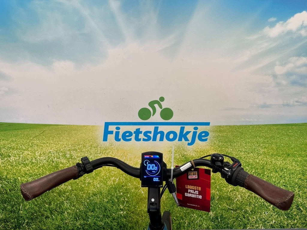 Fietshokje Amersfoort: Raaks Belton dames E-Bike N3 H51, Fietsen en Brommers, Elektrische fietsen, Niet ingevuld, Nieuw, Ophalen of Verzenden