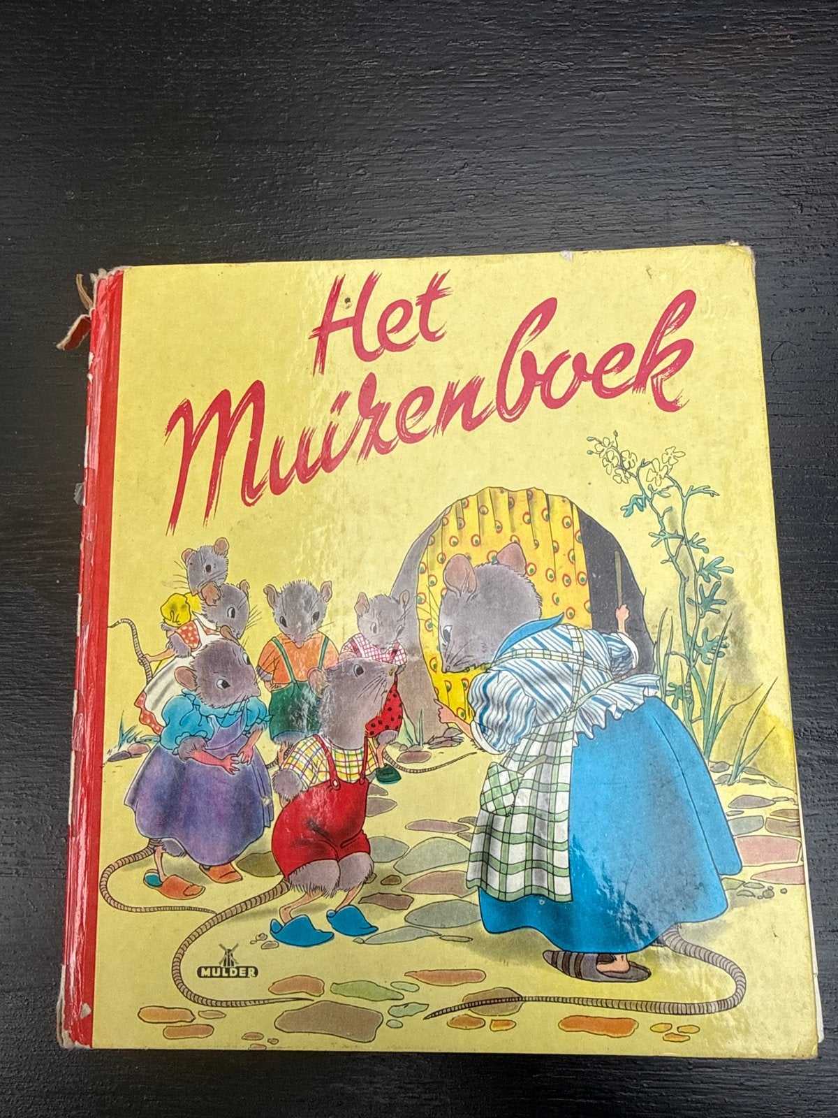 Het Muizenboek - Geïllustreerd door Nans van Leeuwen, Boeken, Ophalen, Gelezen, Fictie algemeen