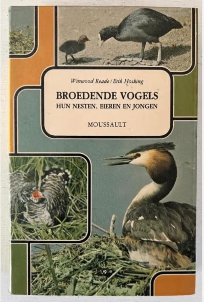 Broedende vogels – hun nesten, eieren en jongen - Moussault, Ophalen of Verzenden, Gelezen, Vogels