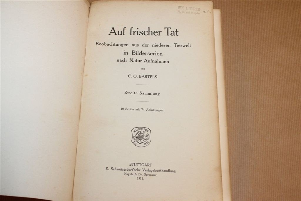 Dierenwereld 1911 — Fotoreeksen Natuurstudie [DE], Boeken, Ophalen of Verzenden, Gelezen
