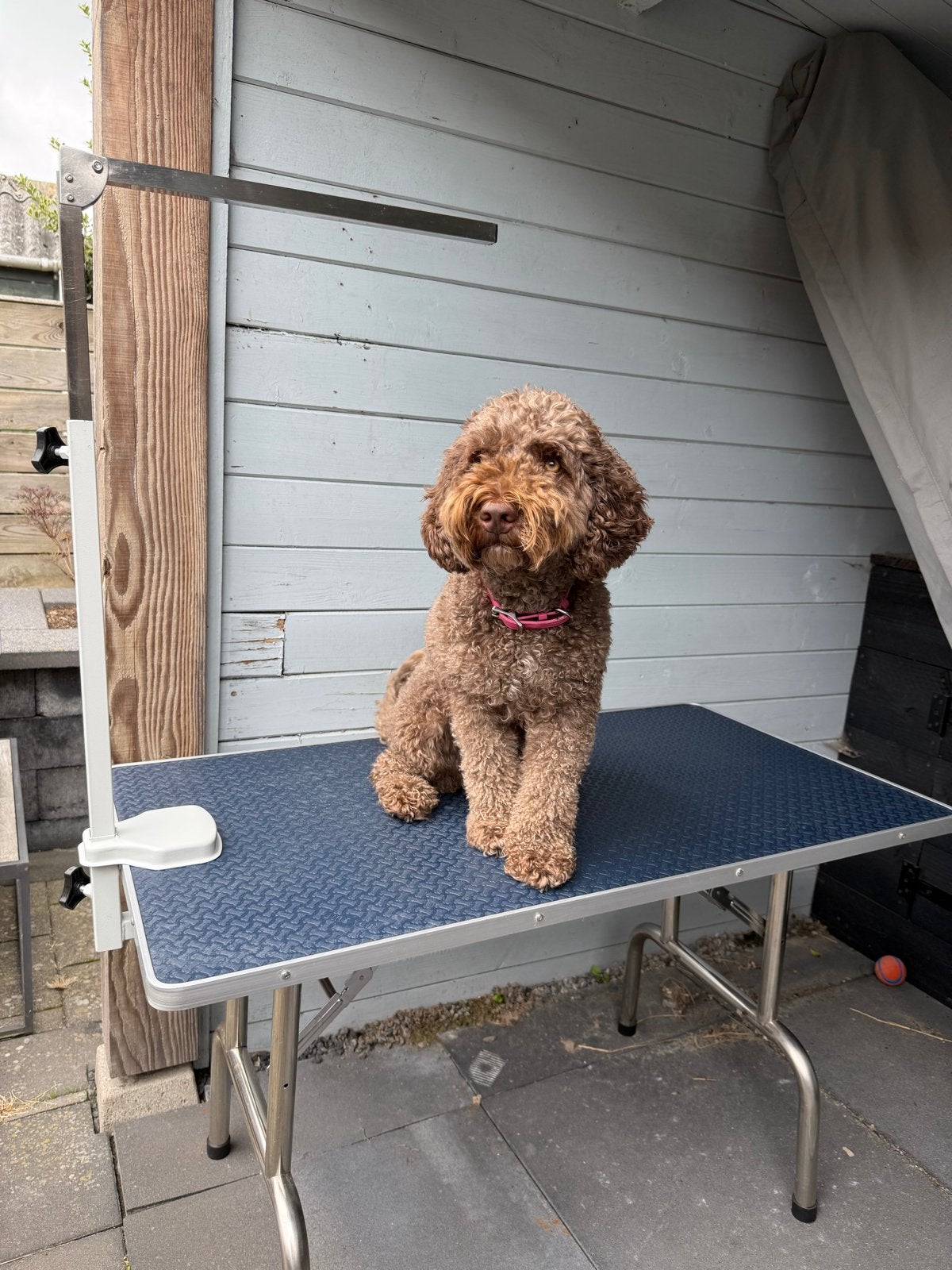 Inklapbare trimtafel, Dieren en Toebehoren, Honden-accessoires, Ophalen
