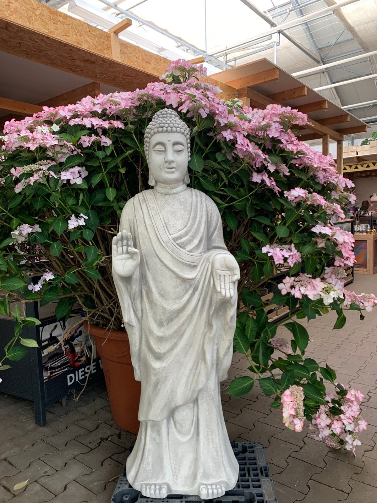 XL Boeddha 142cm 200kg Tempelbewaker Shiva Feng Shui vijver, Tuin en Terras, Tuinbeelden, Ophalen, Nieuw, Beton, Boeddhabeeld