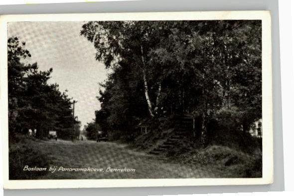 Bennekom Boslaan bij Panoramahoeve uitg A. v. Slooten, Verzenden, 1940 tot 1960, Gelopen, Gelderland