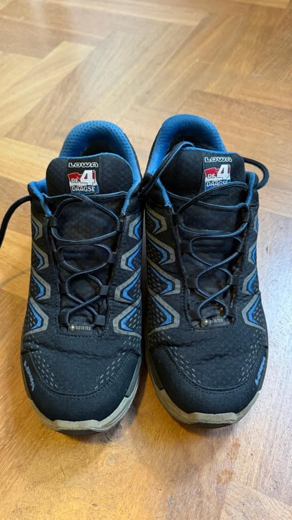 Lowa vierdaagse wandelschoenen, Ophalen of Verzenden, Zo goed als nieuw, Schoenen