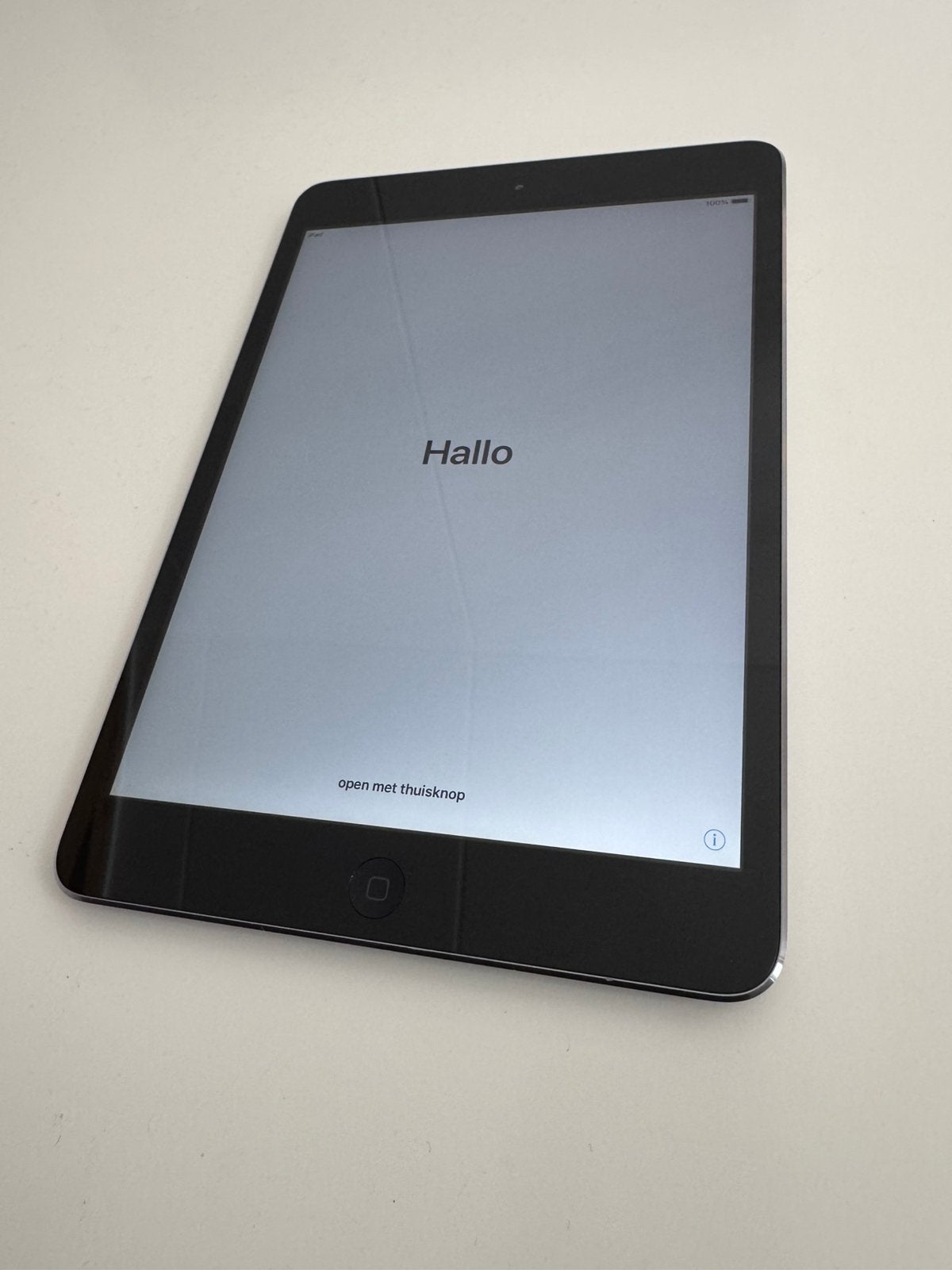 Ipad mini 2 16GB in zeer nette staat, Computers en Software, Apple iPads, Apple iPad, 8 inch, Ophalen of Verzenden, Zo goed als nieuw