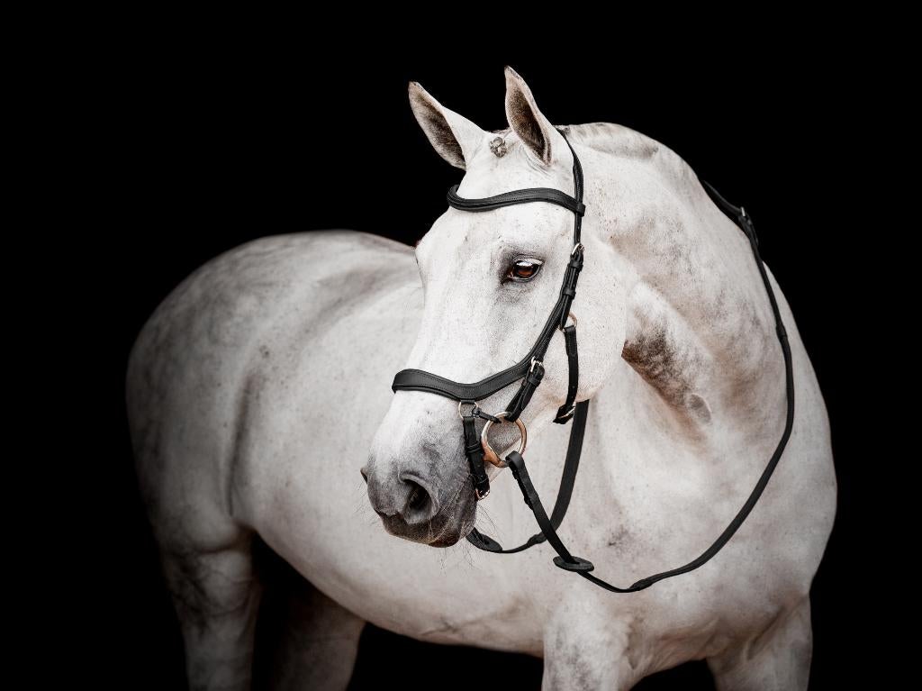 Horseware Micklem 2 Competition, Pony, Cob, Full, XFull, Ophalen of Verzenden, Nieuw