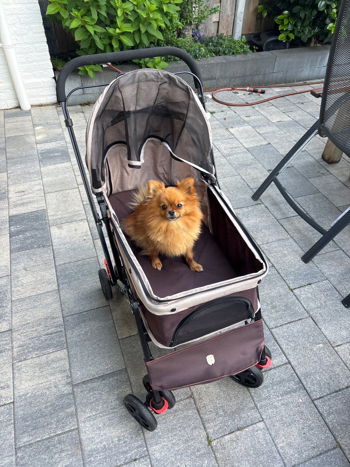 Honden wandelwagen nieuw, Dieren en Toebehoren, Honden-accessoires, Ophalen, Zo goed als nieuw