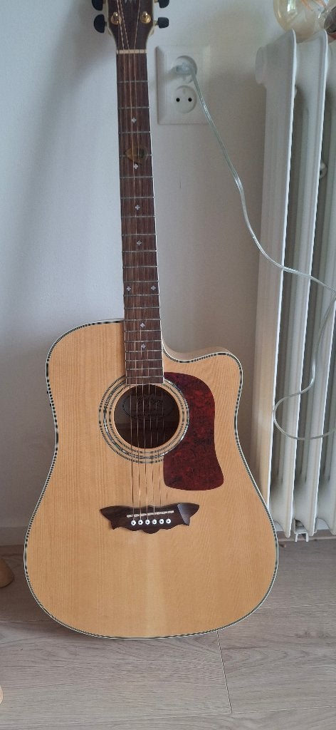 Acoustic Guitar, Muziek en Instrumenten, Snaarinstrumenten | Gitaren | Akoestisch, Ophalen, Zo goed als nieuw, Overige typen