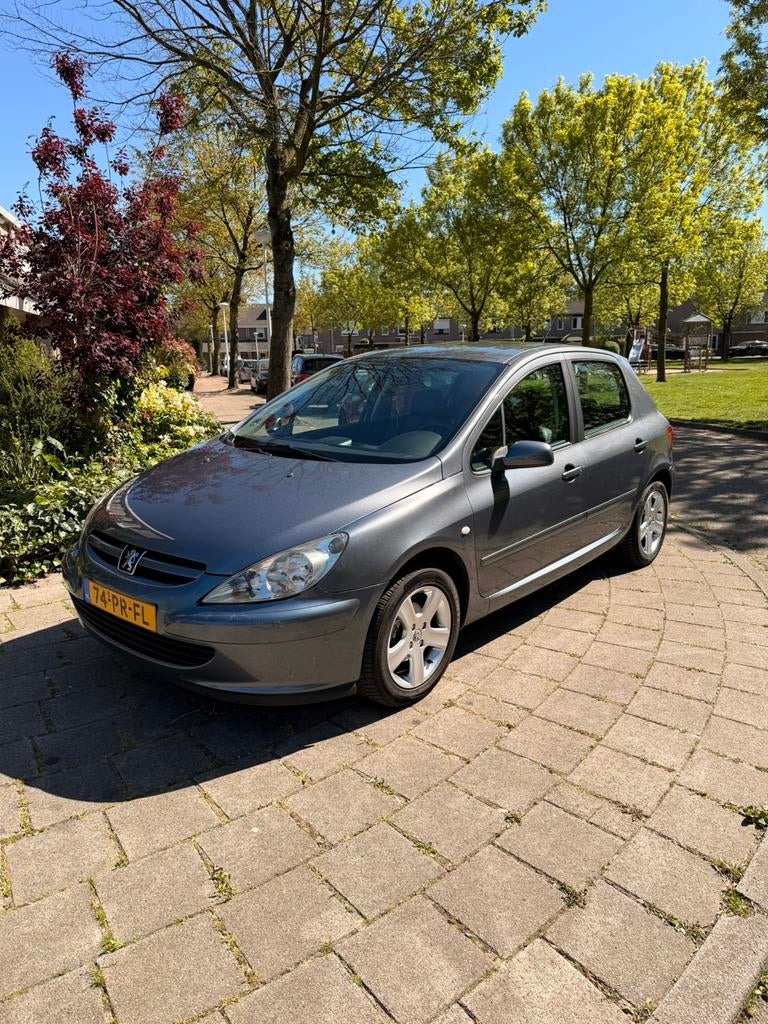 Peugeot 307 1.6 16V XR 5DR 2004 Grijs, Auto's, Zwart, 4 cilinders, 1200 kg, Handgeschakeld