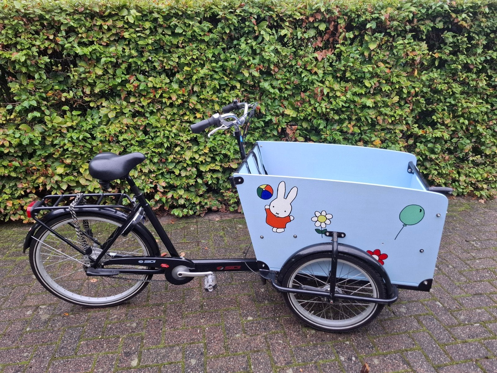 Originele Babboe bakfiets - Handgeschilderd, niet elektrisch, Overige merken, Gebruikt, Elektrisch, Ophalen of Verzenden