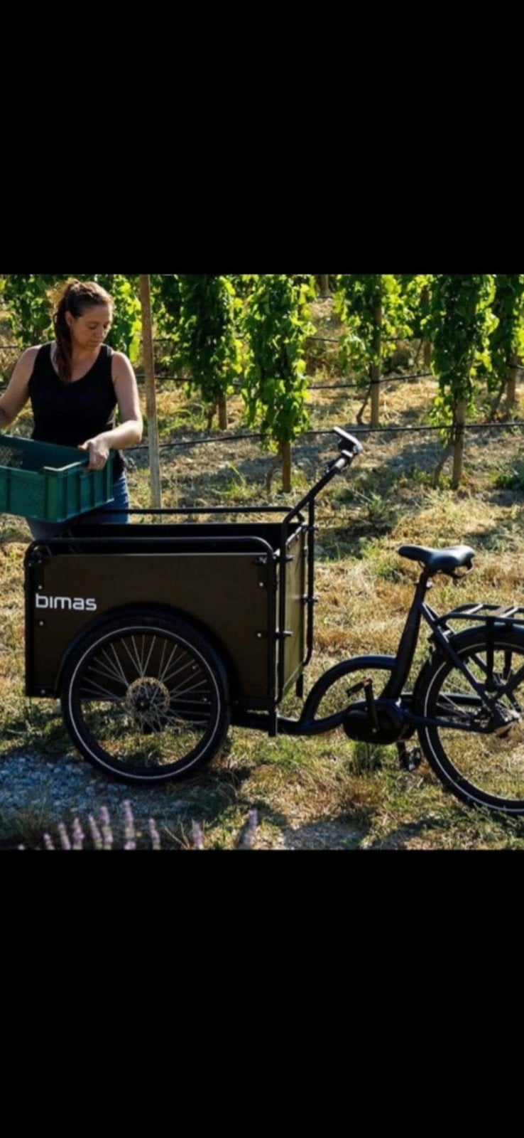 Elektrische Bakfiets - Bimas eCargo 3.3 met deur, Fietsen en Brommers, Ophalen, 4 kinderen of meer, Huif, Zo goed als nieuw