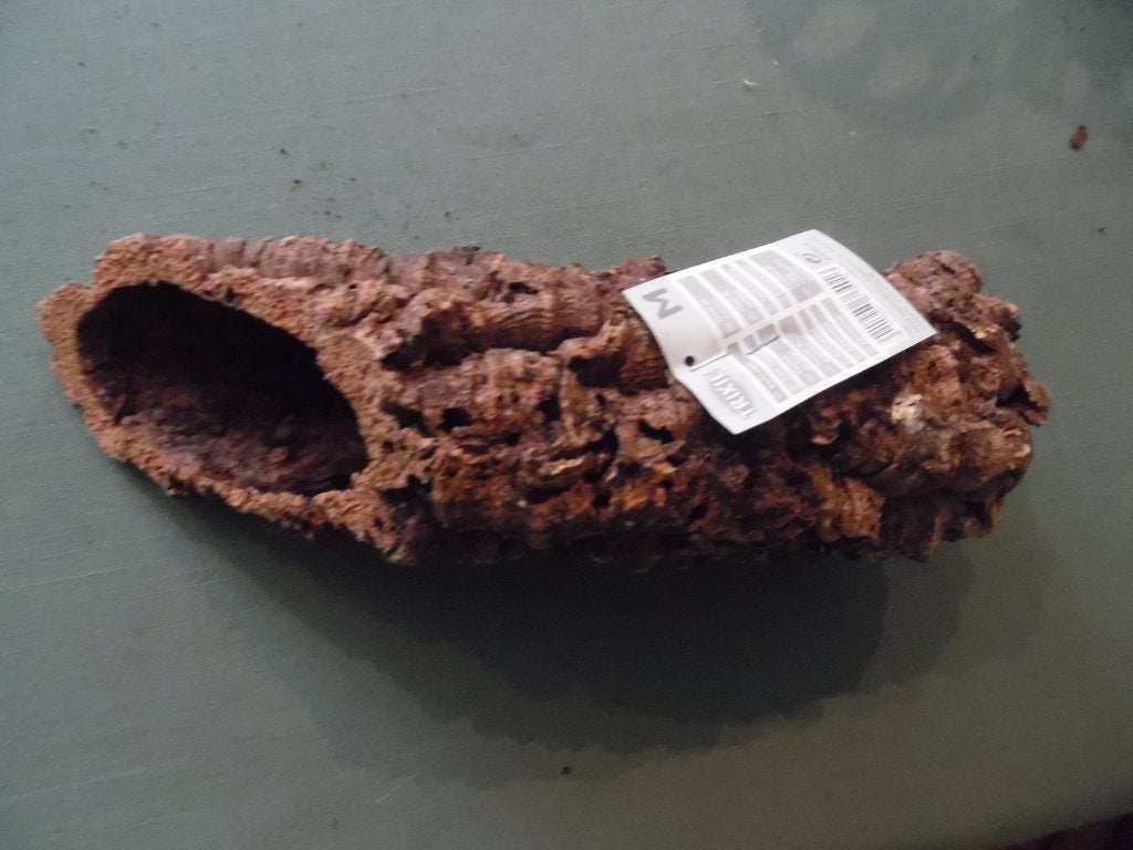 Holle stam voor knaagdieren., Ophalen of Verzenden, Nieuw, Transportkoffer of -box