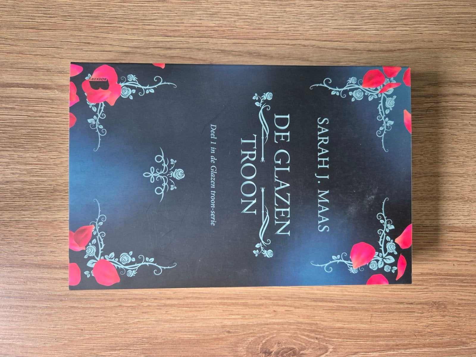 Sarah J Maas - de glazen troon, Boeken, Fantasy, Ophalen of Verzenden, Zo goed als nieuw