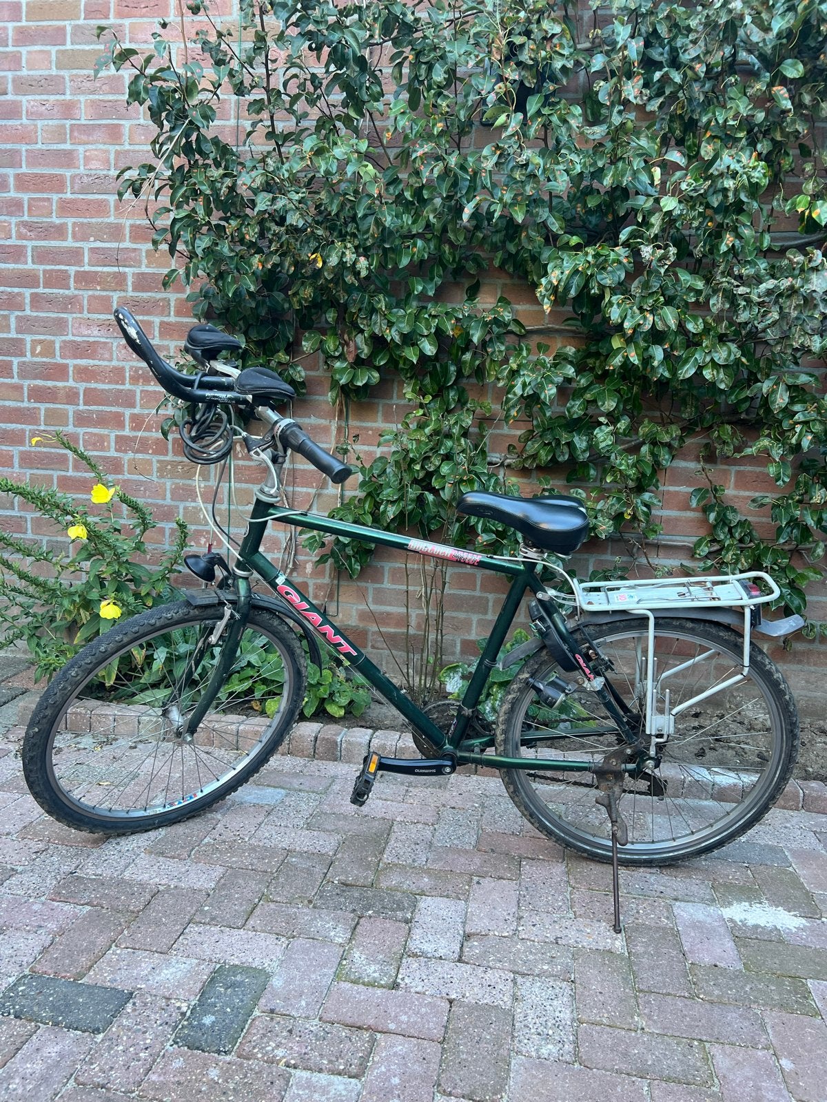 Giant Groen Fiets 20.5 inch met 21 versnellingen en bagagedr, Gebruikt, Velgrem, 49 tot 53 cm, Meer dan 20 versnellingen