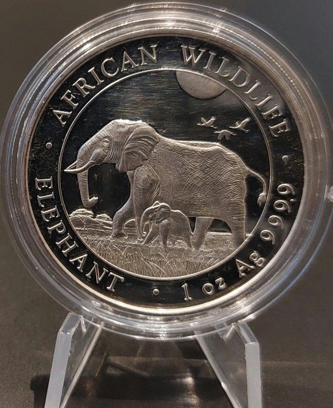 1 oz Zilveren Somalië Olifant Munt 2022, Verzenden, Losse munt, Zilver