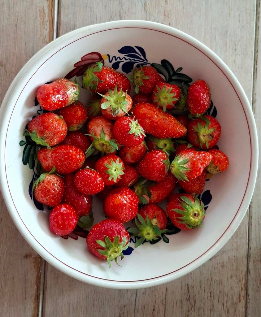 Boerenbont Boch Fruittest/ Fruitschaal met onderbordje, Huis en Inrichting, Keuken | Servies, Gebruikt, Ophalen of Verzenden, Schaal of Schalen