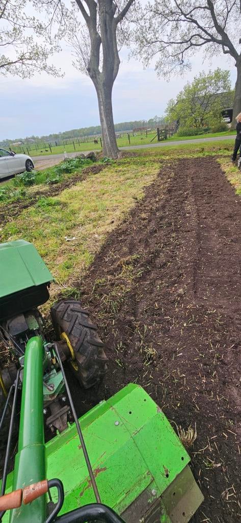 Tuinman aangeboden, Diensten en Vakmensen, Tuinmannen en Stratenmakers, Tuinonderhoud of Snoeiwerk