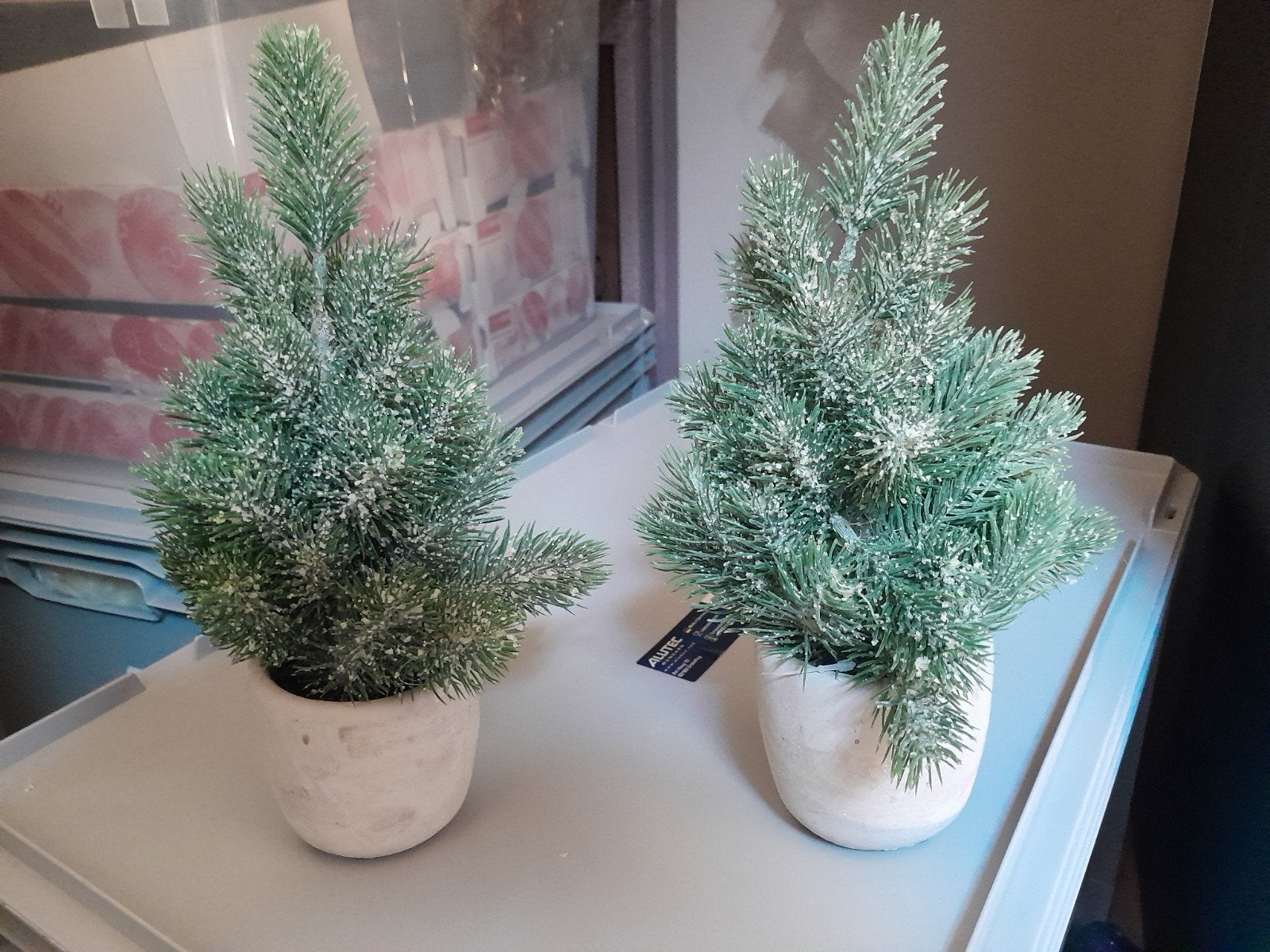 2 countryfield kerst boompjes, Ophalen