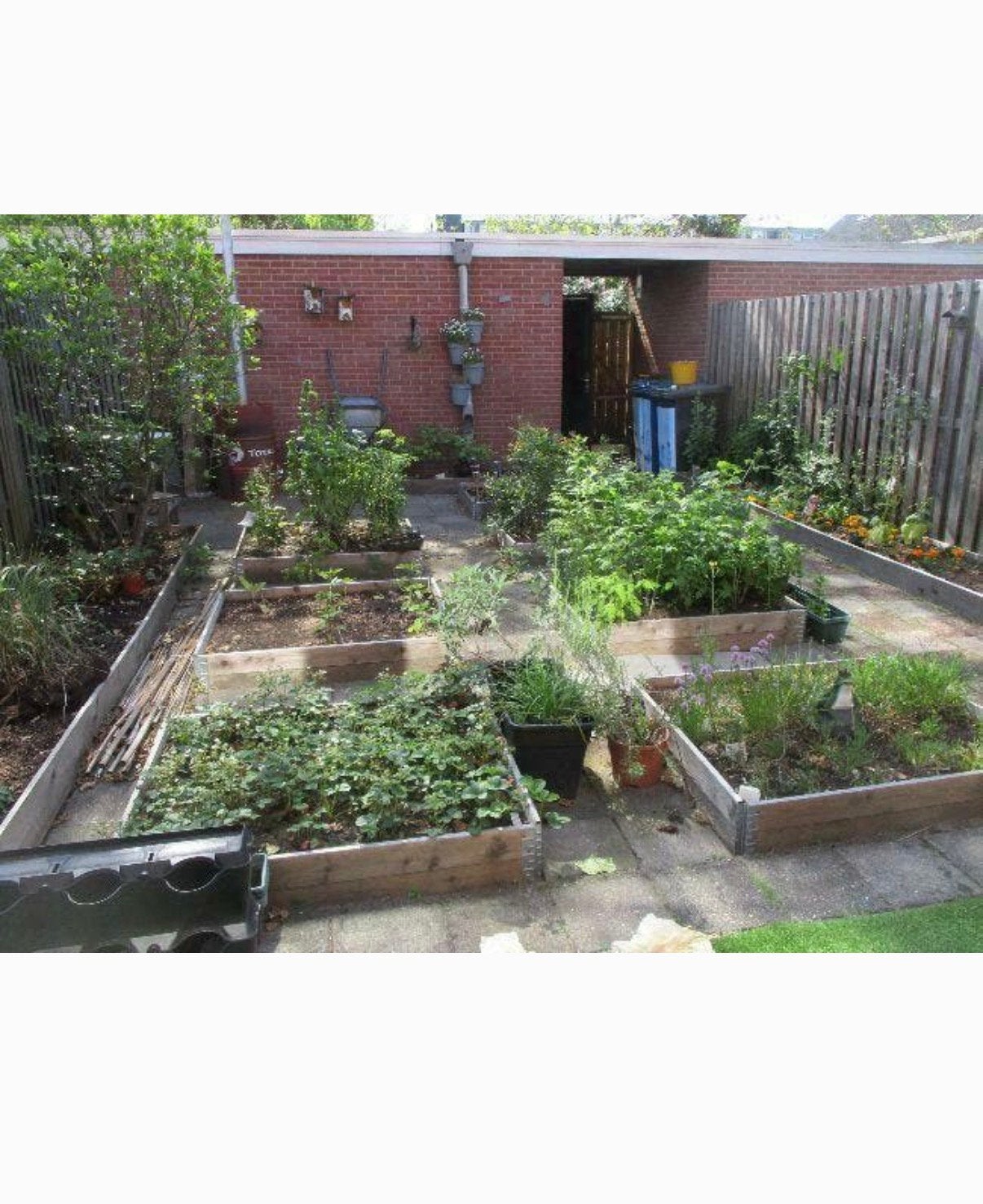 Moestuin bakken Bloembakken Kweekbakken Plantenbakken balkon, Gebruikt, Minder dan 30 cm, Ophalen of Verzenden, Binnen