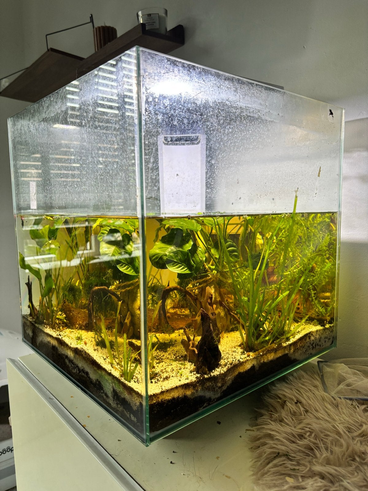 Aquarium kubus rond 50L met ingebouwde filter en lamp., Ophalen of Verzenden, Zo goed als nieuw, Leeg aquarium