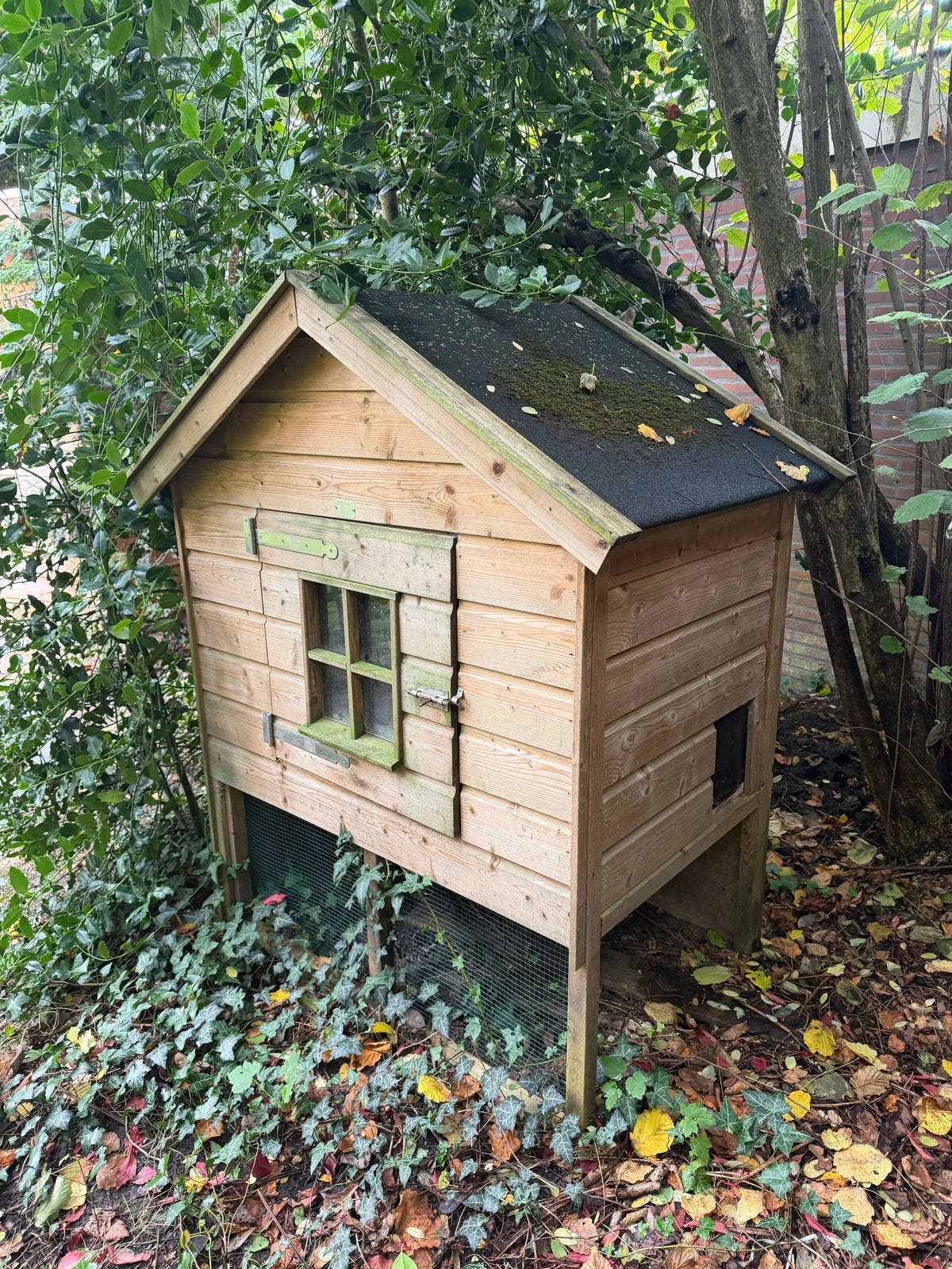 Kippenhok te koop, Ophalen, Zo goed als nieuw, Hout, Overige typen