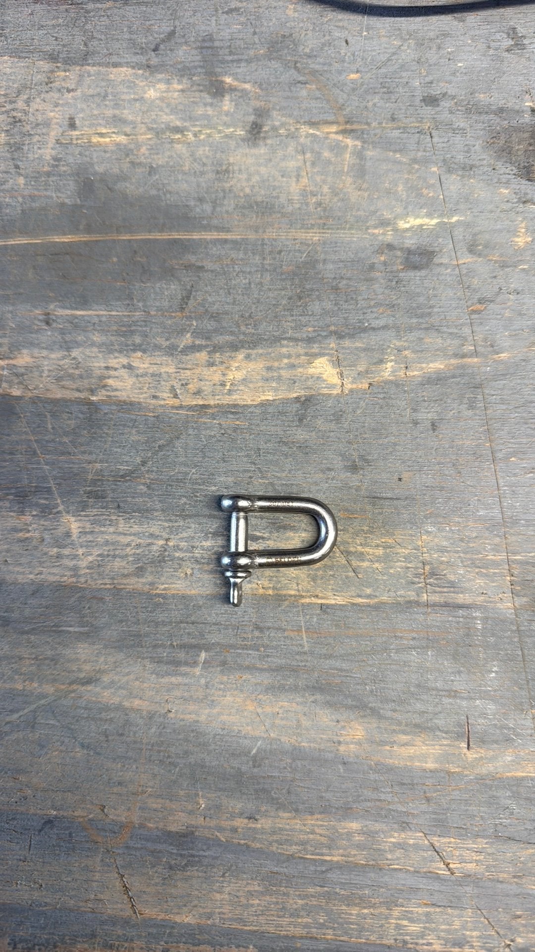 Selden D-sluiting D-harp, Ophalen of Verzenden, Nieuw