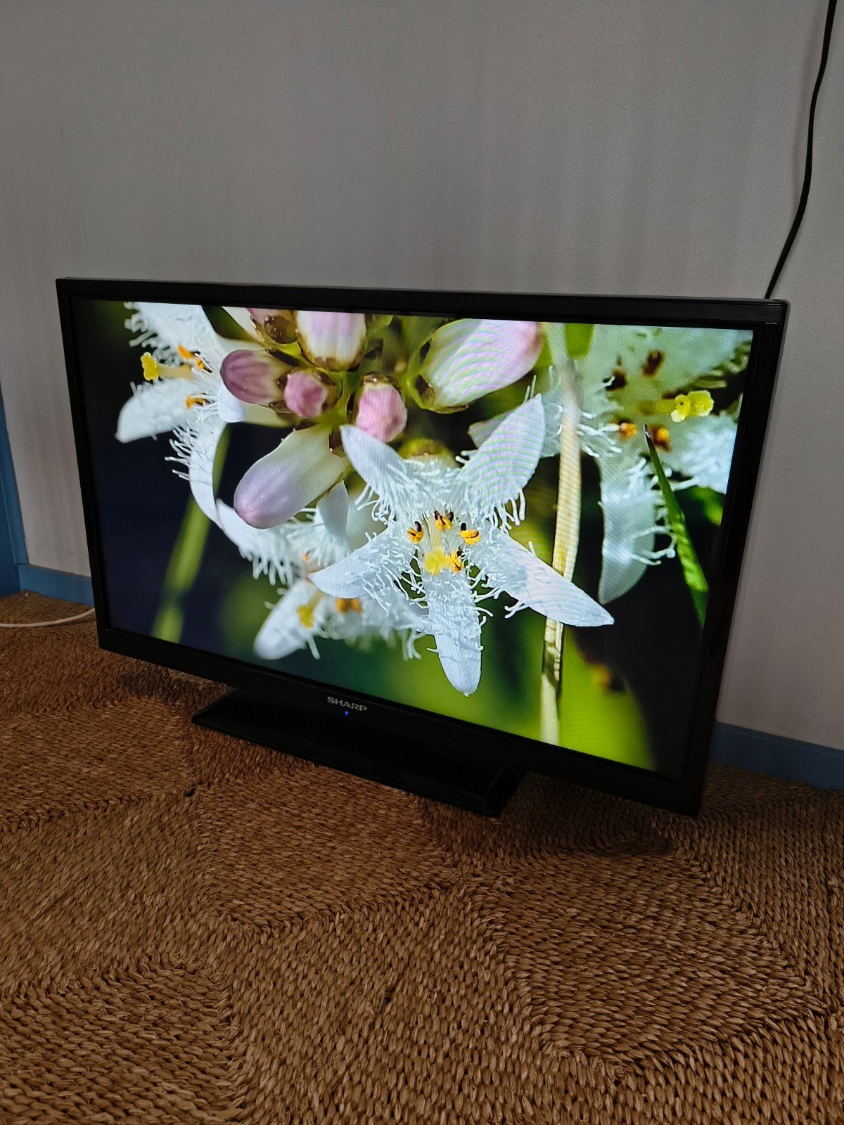 Sharp TV met 2 HDMI, 1 Scart en DVB-C tuner, Ophalen, Gebruikt, 50 Hz, Sharp