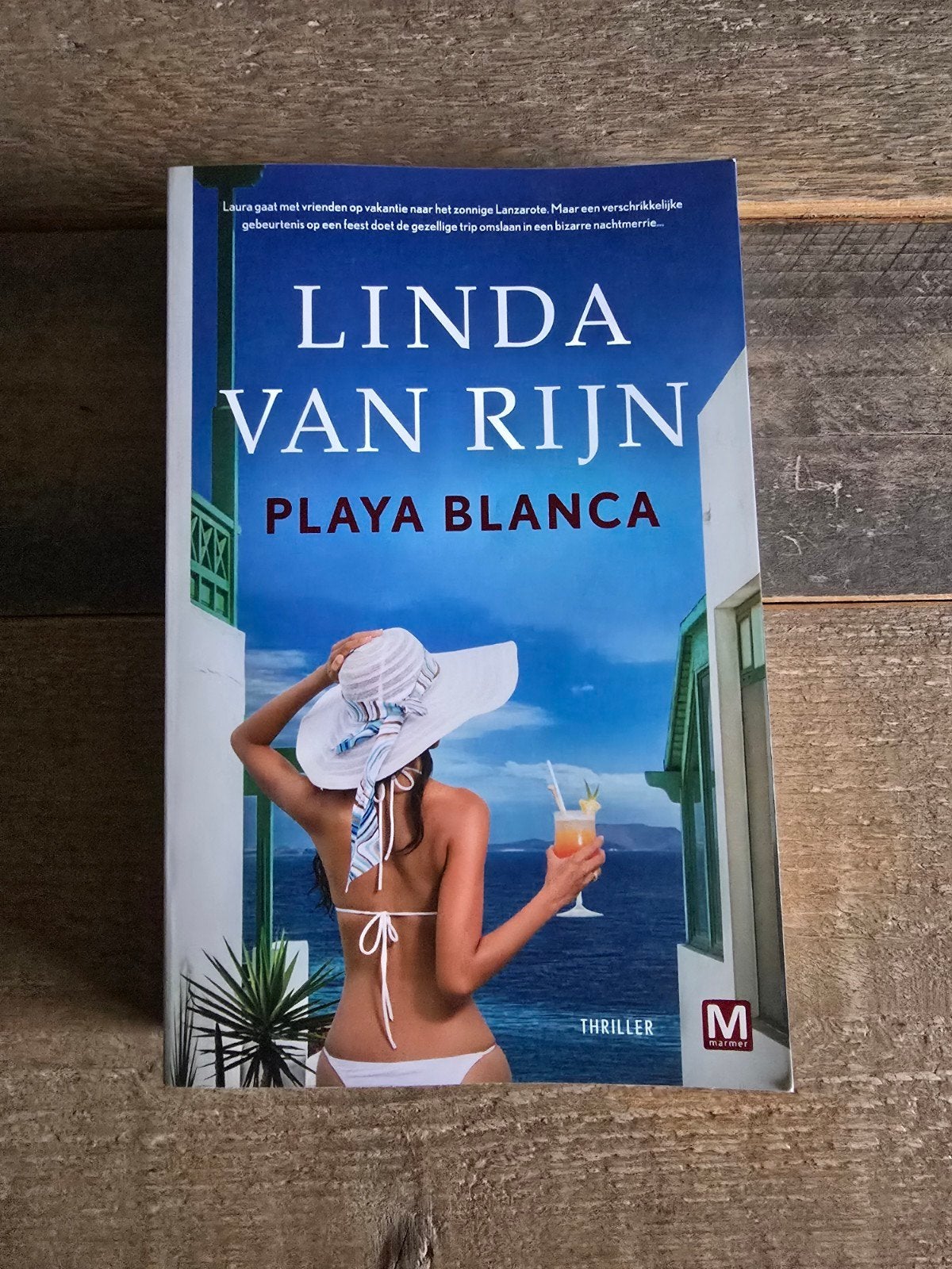 Diverse Linda van Rijn boeken, Ophalen of Verzenden, Gelezen, Linda van Rijn