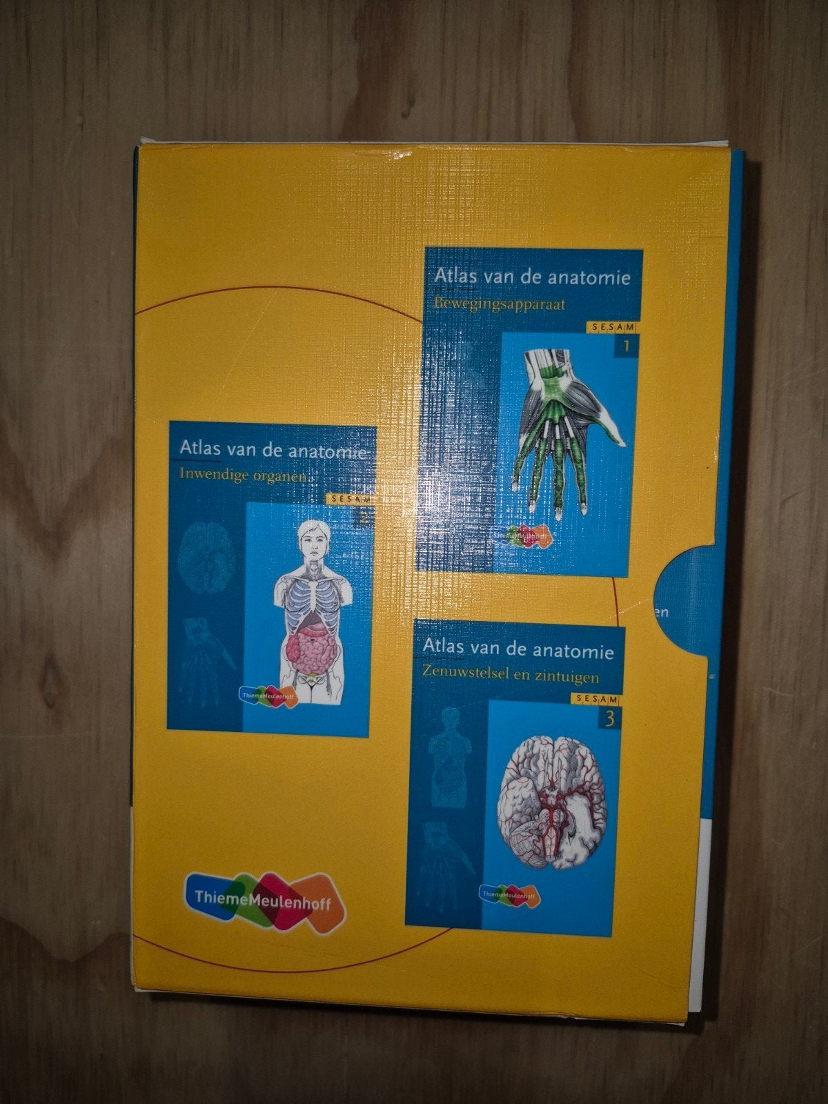 Atlas van de anatomie - Sesam (complete serie), Medisch, Complete serie, ThiemeMeulenhoff, Ophalen of Verzenden