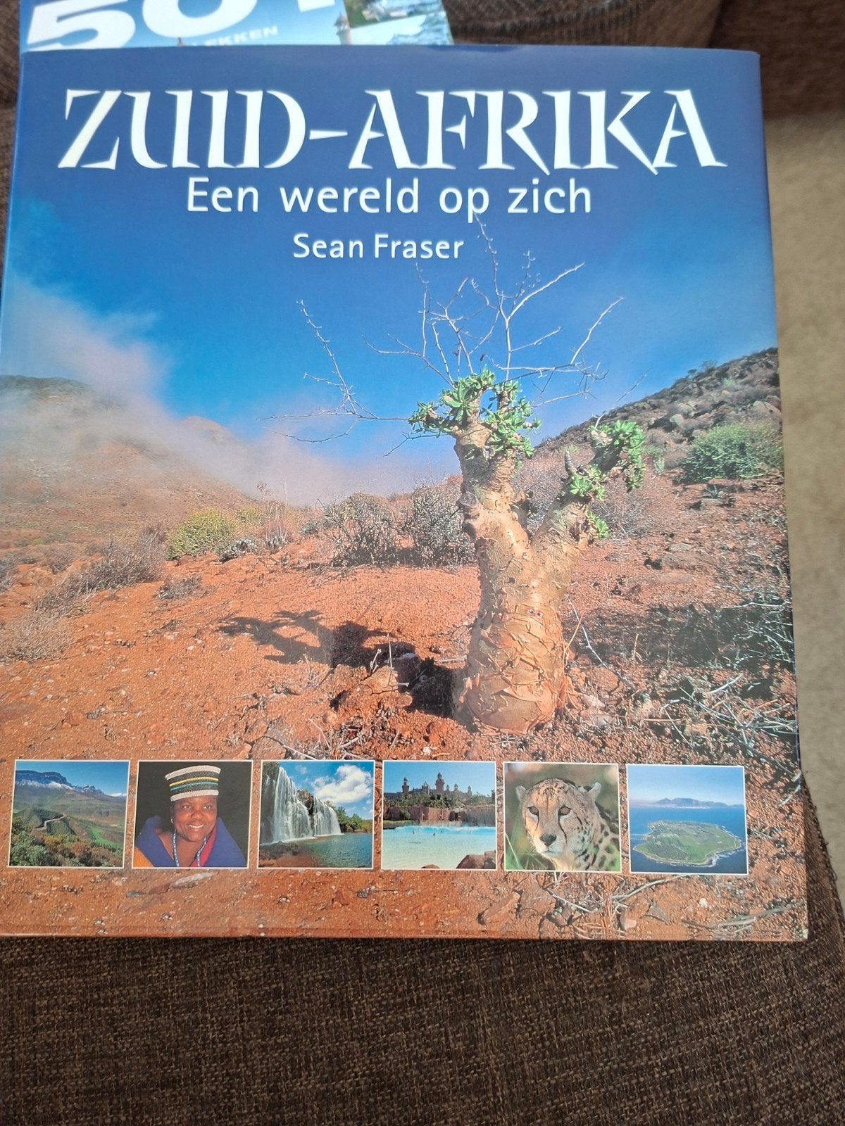 Reisgidsen Zuid-Afrika, Afrika, Lonely Planet, Ophalen of Verzenden, Zo goed als nieuw