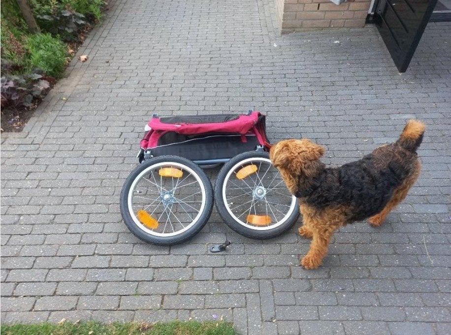 Trixie honden fietskar, Fietsen en Brommers, Ophalen, Trixie, Opvouwbaar, 20 tot 40 kg