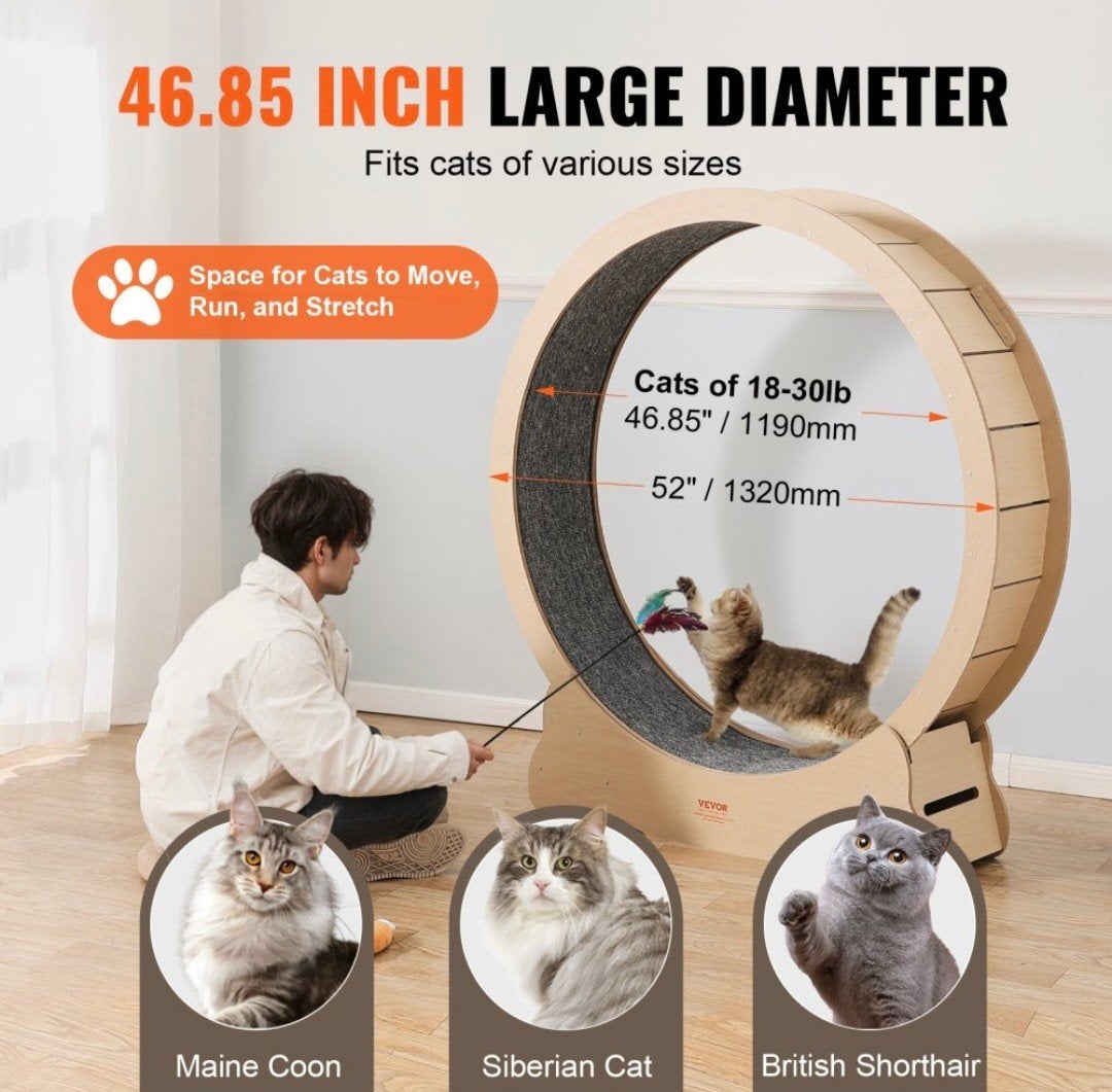 Looprad of loopwiel voor grote katten, Dieren en Toebehoren, Ophalen, Zo goed als nieuw, Overig speelgoed