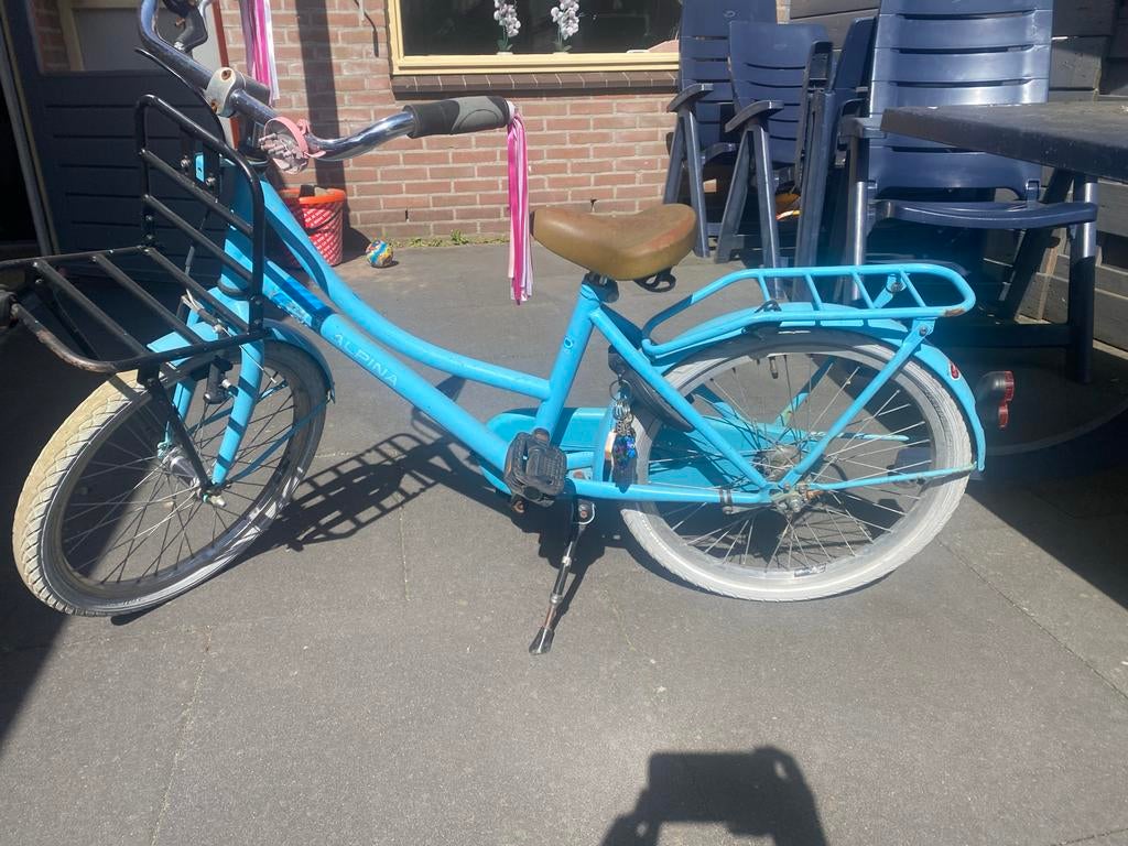 20 inch meisjesfiets Alpina met voordrager - beschadigd, Fietsen en Brommers, Fietsen | Meisjes, Gebruikt, 20 inch, Handrem, Terugtraprem