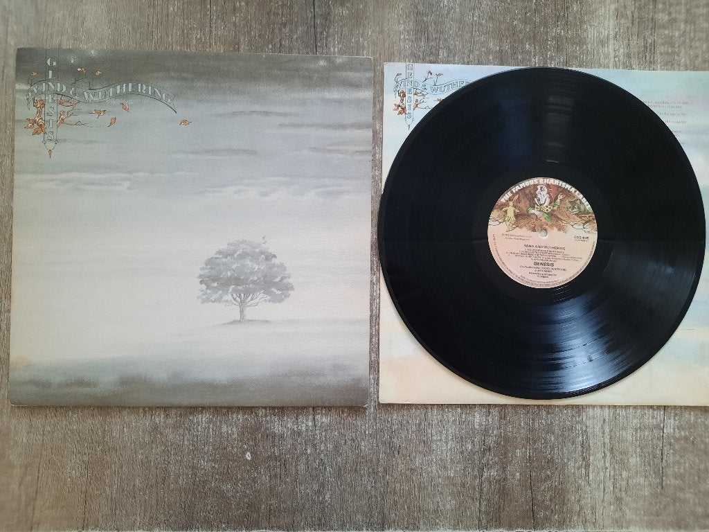 Genesis – Wind & Wuthering,1976,lp,elpee, Cd's en Dvd's, Ophalen of Verzenden, LP