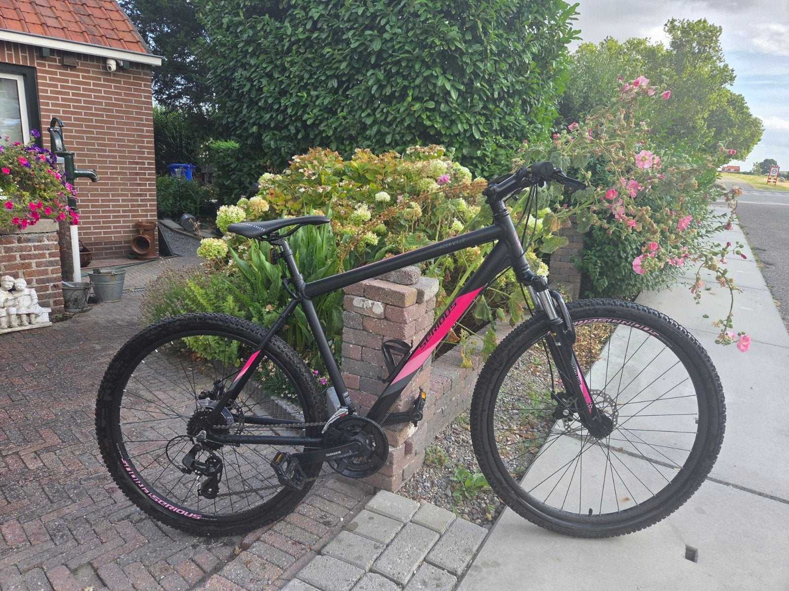 Serious Cycles Mountainbike - Zwart/Roze, Zo goed als nieuw, Fietsen en Brommers, 45 tot 49 cm, Zo goed als nieuw, Dames, Ophalen