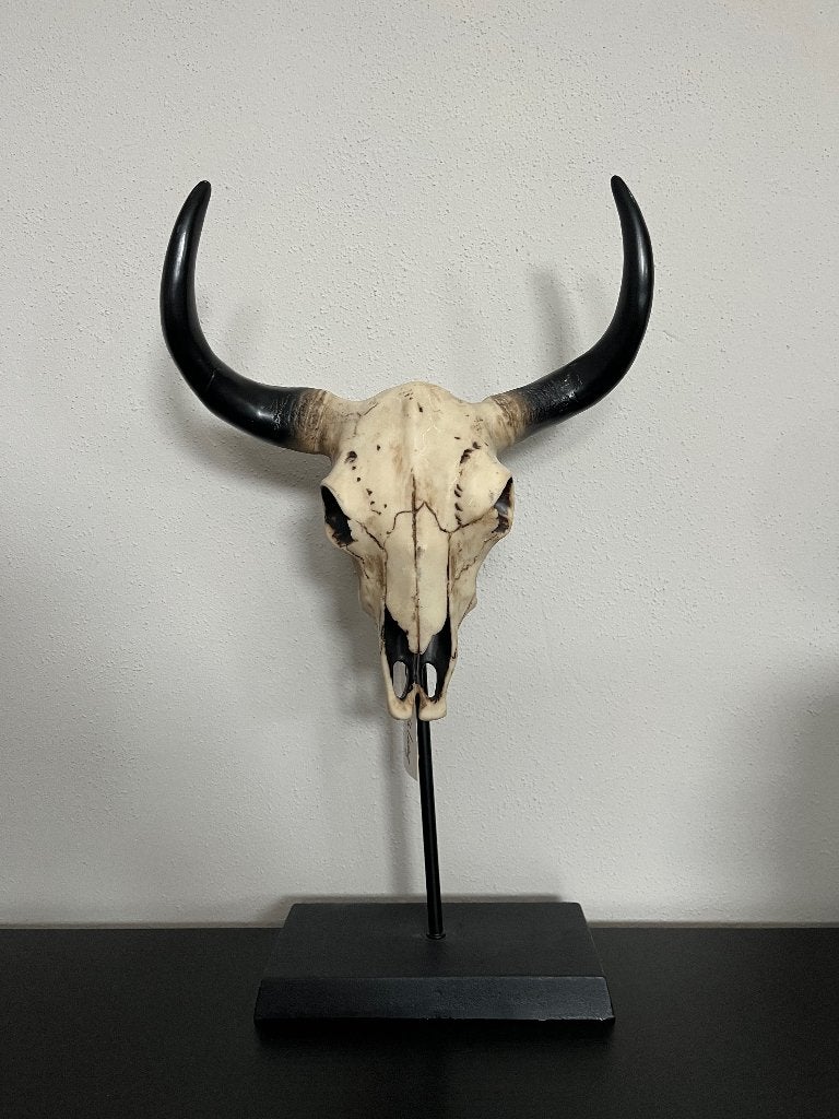 Light & Living ornament op standaard buffel skull schedel, Ophalen of Verzenden, Nieuw
