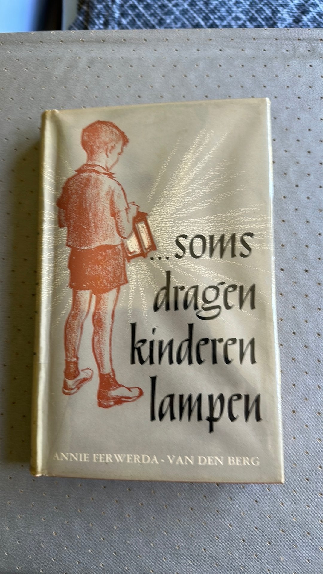 Soms dragen kinderen lampen, Boeken, Streekboeken en Streekromans, Ophalen of Verzenden, Zo goed als nieuw, Noord-Brabant
