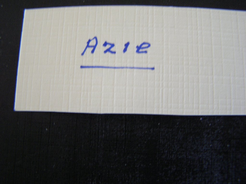 Album met munten uit Azie, Postzegels en Munten, Ophalen of Verzenden, Midden-Oosten, Losse munt
