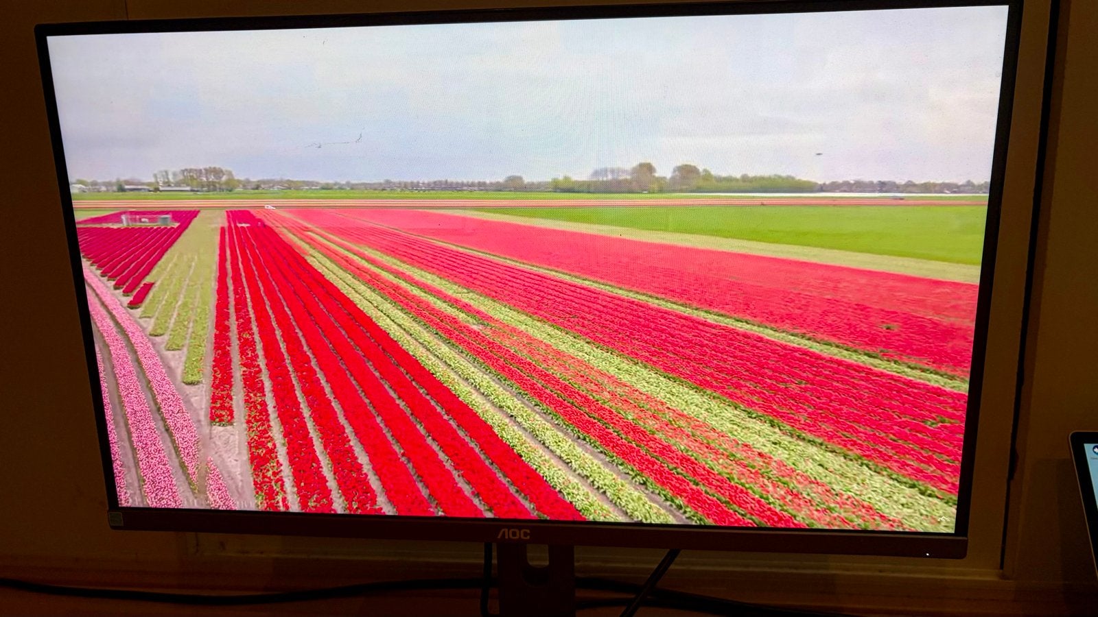 AOC 270LM00043 QHD Monitor - 27 inch, Ophalen, Zo goed als nieuw, Onbekend, 61 t/m 100 Hz
