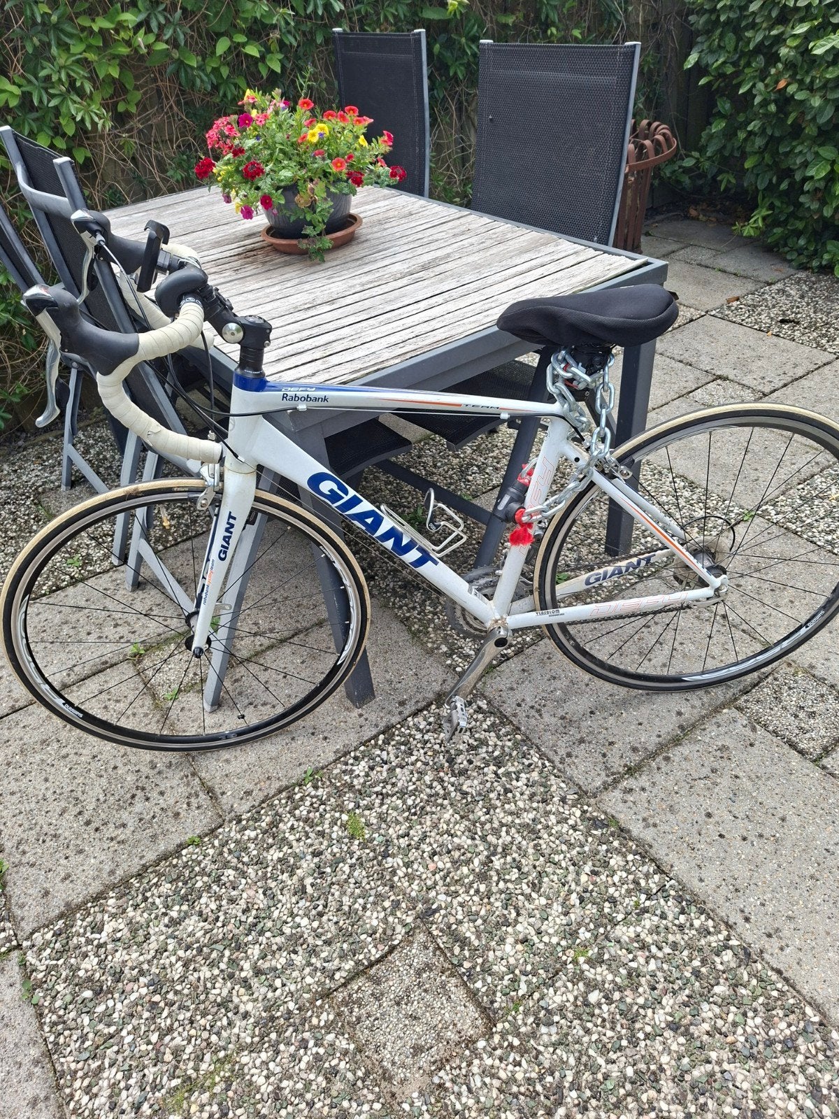 Giant DEFY 2 RABO TEAM, Ophalen, Carbon, Velgrem, Giant