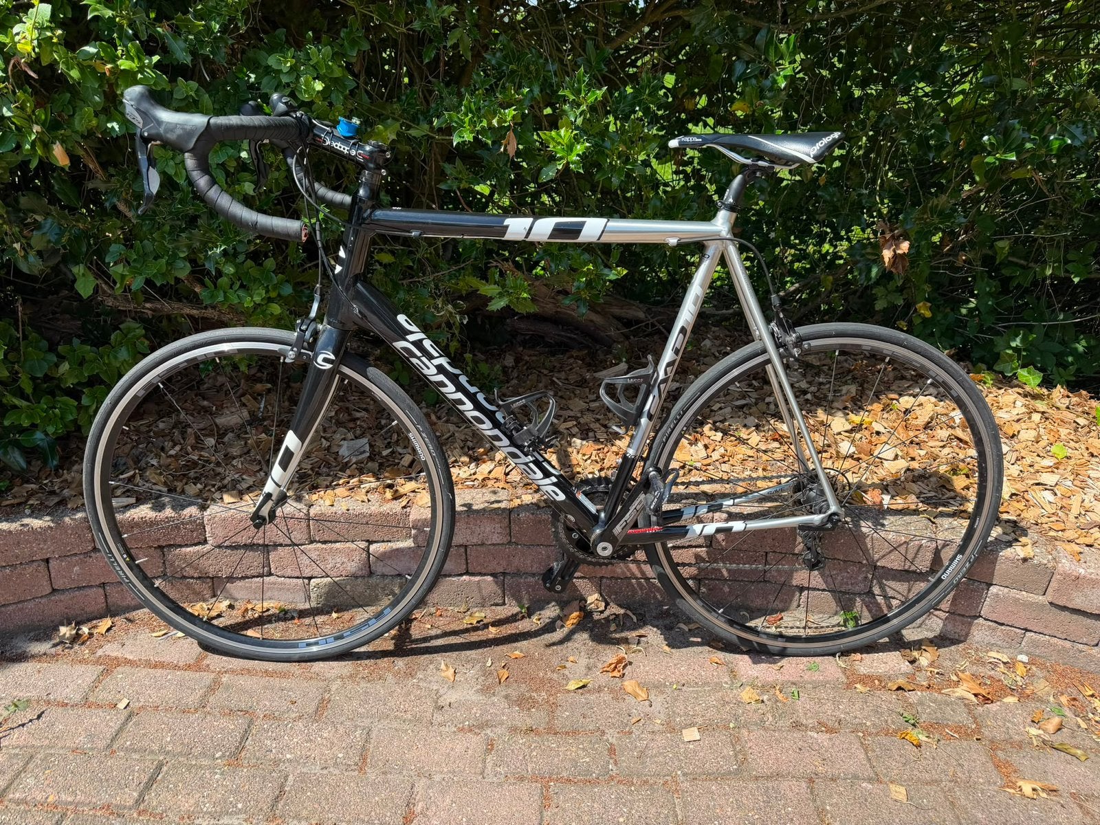 Camnondale caad 10 SCHERPE PRIJS, Fietsen en Brommers, Fietsen | Racefietsen, Aluminium, Zo goed als nieuw, Meer dan 20 versnellingen