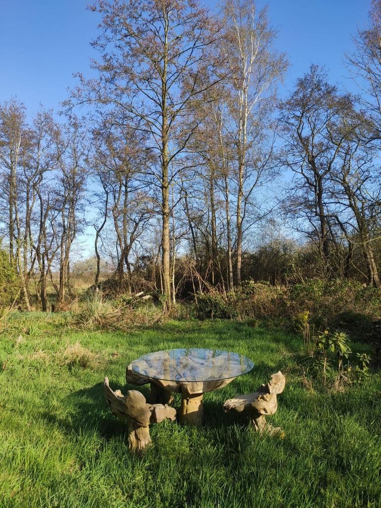 Wortelhouten tuinset: tafel + 4 stoelen, Tuin en Terras, Haardhout, Minder dan 3 m³, Ophalen of Verzenden