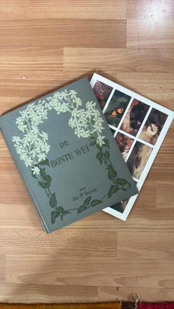 DE BONTE WEI, Boeken, Ophalen of Verzenden, Nieuw