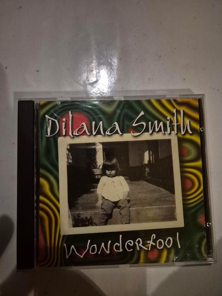 Dilana Smith - Wonderfool. Cd. 2000, Cd's en Dvd's, Cd's | Hardrock en Metal, Gebruikt, Ophalen of Verzenden