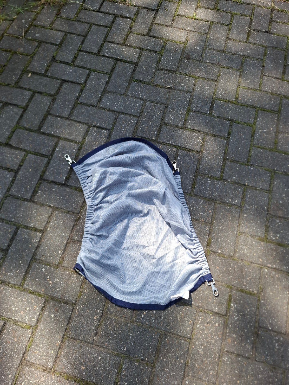 Bucas Buzz of belly pad, Dieren en Toebehoren, Ophalen of Verzenden, Nieuw