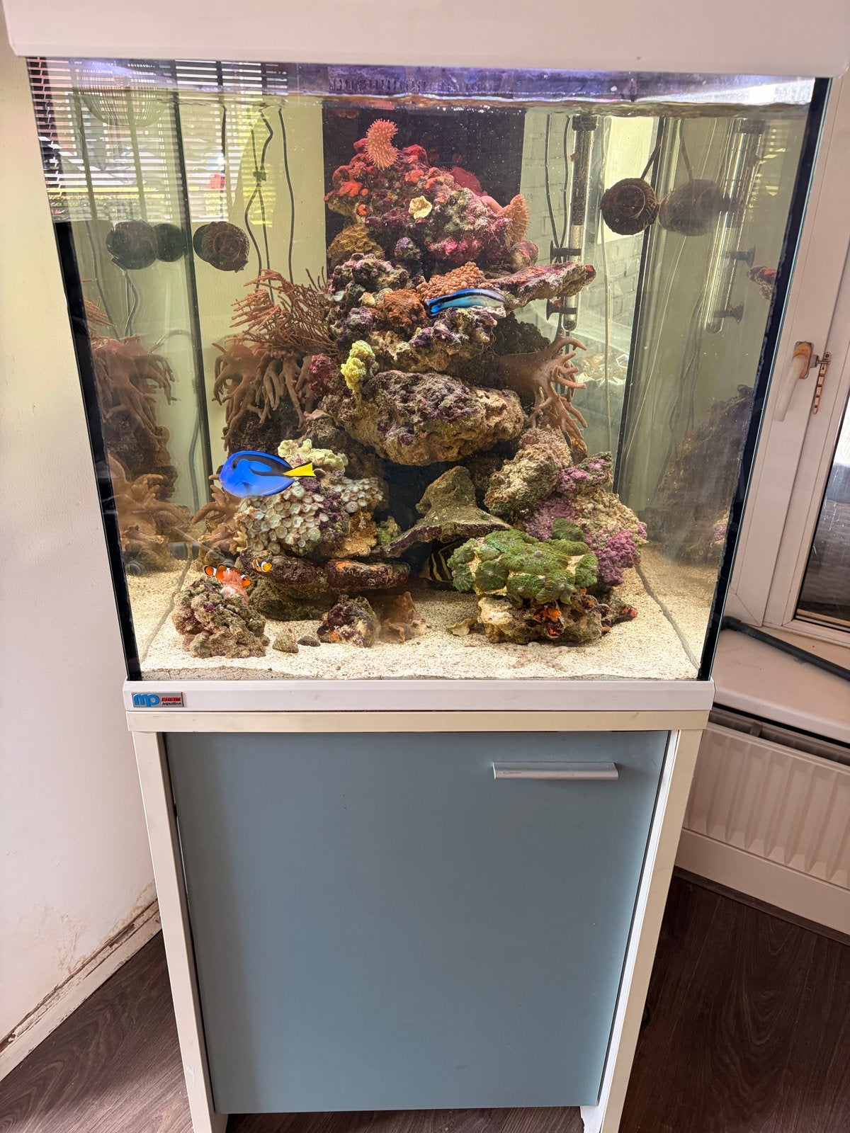 Zee aquarium, Ophalen, Leeg aquarium