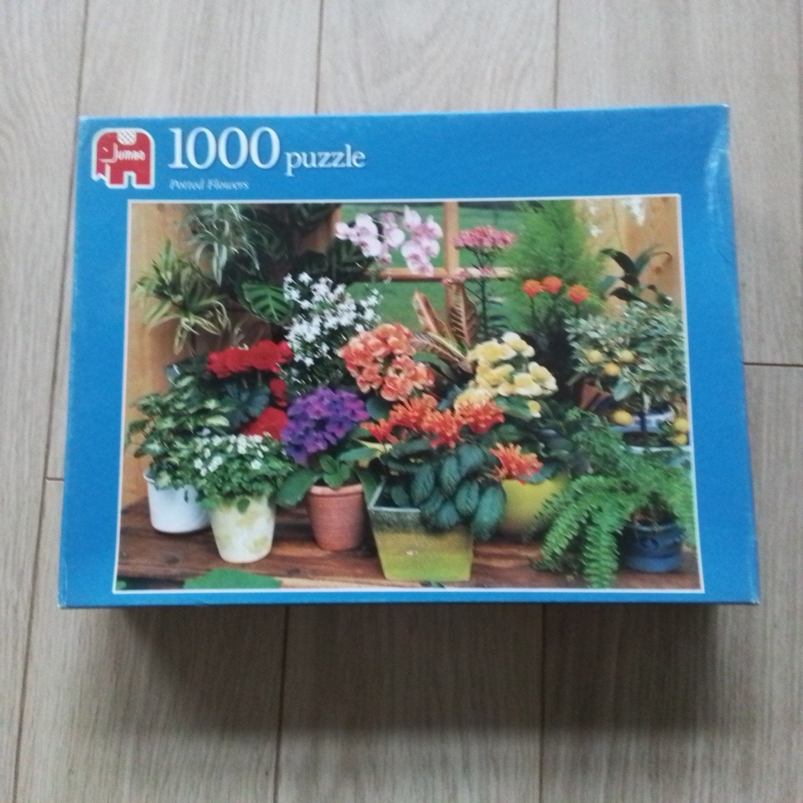 Jumbo puzzel Potted Flowers 1000 stukjes, Hobby en Vrije tijd, Ophalen, 500 t/m 1500 stukjes, Zo goed als nieuw