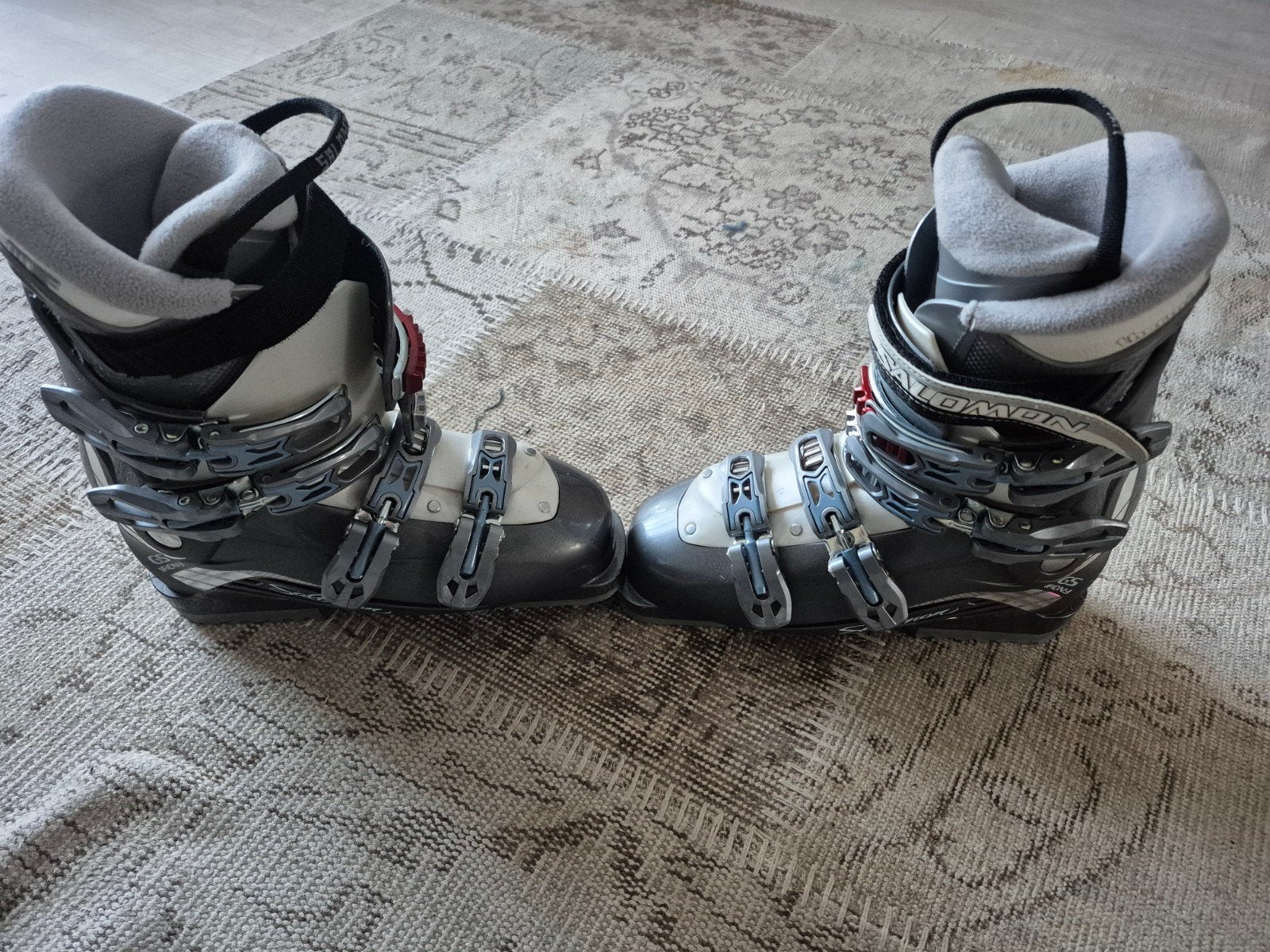 Salomon Performa 5.5 Skischoenen - Maat 25.5, 160 tot 180 cm, Gebruikt, Schoenen, Skiën